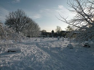 University Ground, Barnwell