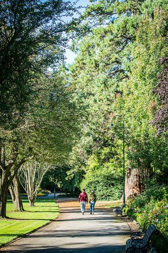 Ashburton Domain