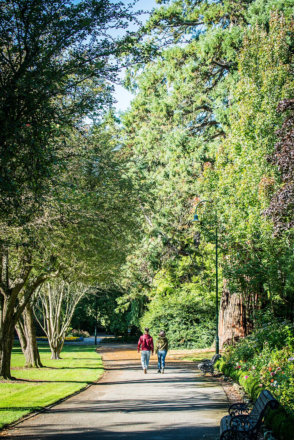 Ashburton Domain