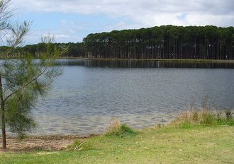 Pizzey Park